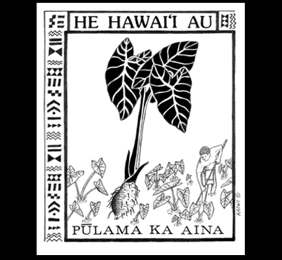 He Hawai‘i Au